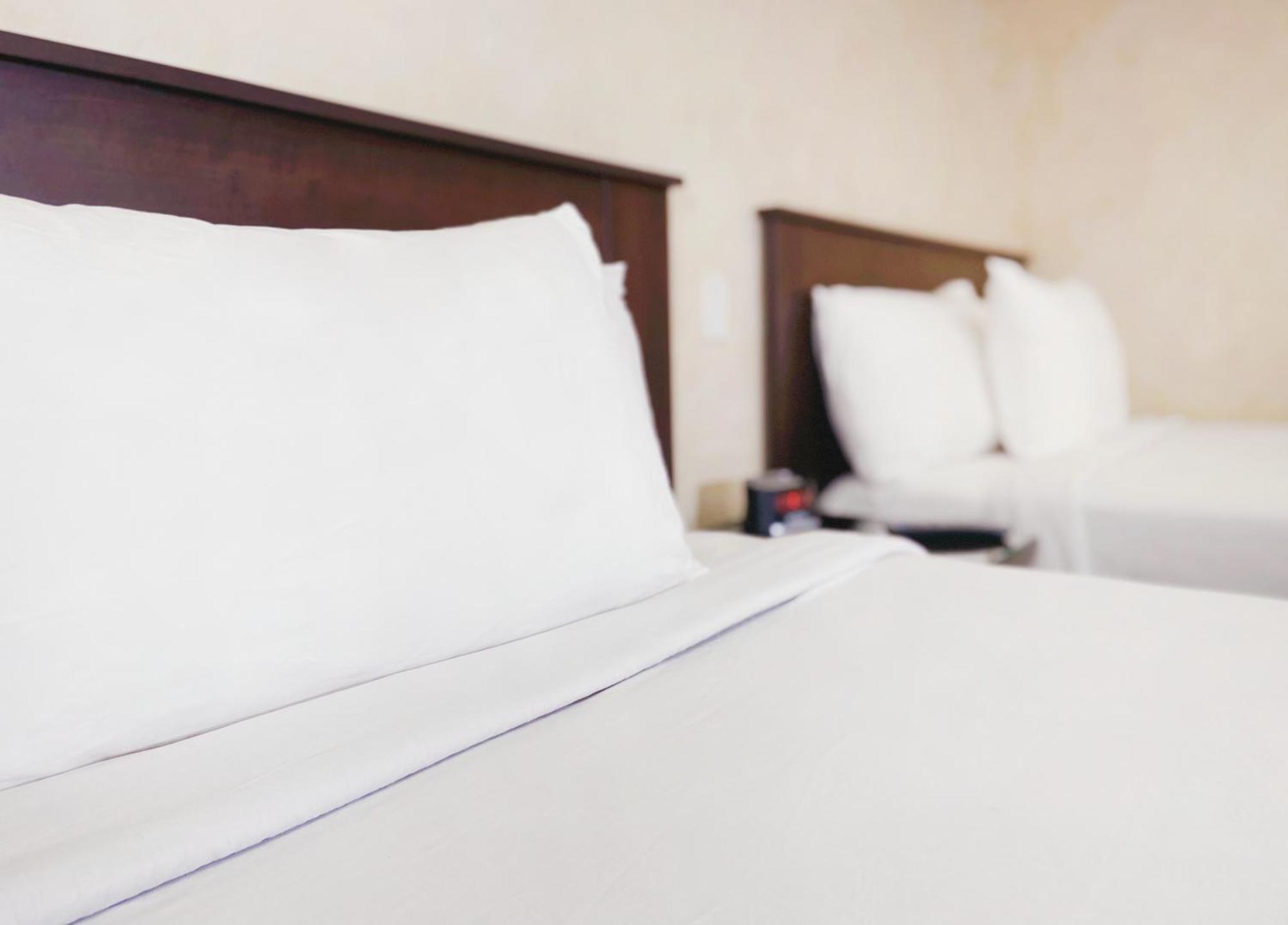 Nite Inn At Universal City - Walking Distance To Universal Studios Hollywood Los Angeles Exteriör bild